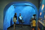 resIMG_20140623_183326_2724.JPG